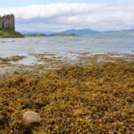 Castle Stalker