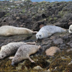 La plage est bondée...