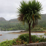 Plockton