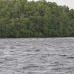 Garrie est là, regarde la photo!